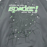 Sp*der Web Hoodie Grey Sp5der
