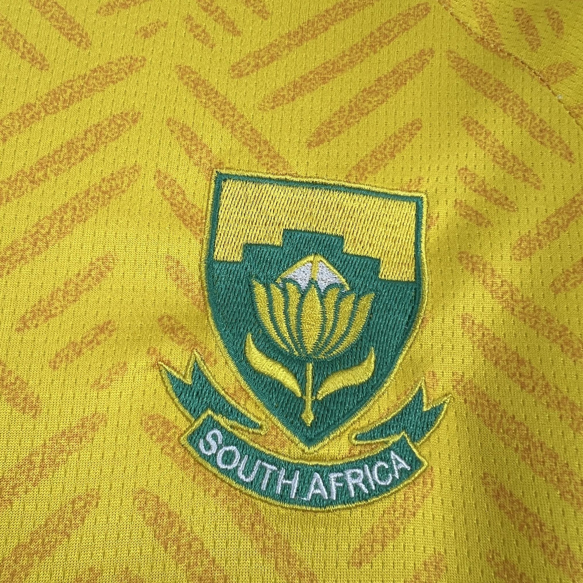 Close-up of a South Africa emblem on a yellow background