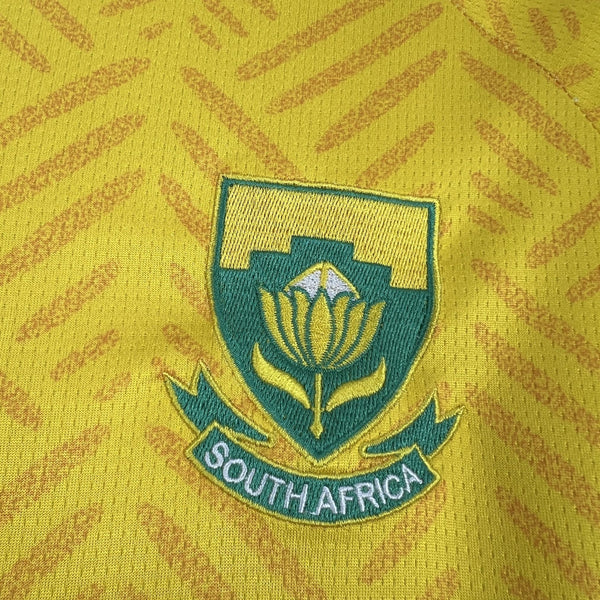 Close-up of a South Africa emblem on a yellow background