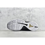 Nike Kobe 6 BLACK GOLD Gorilla fits